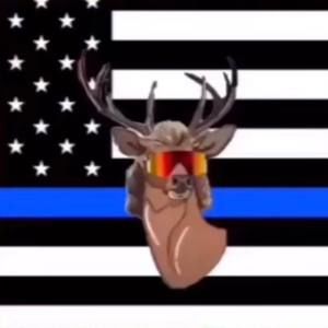 Meet your Posher, Dalton